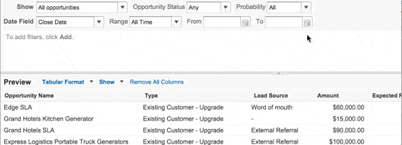 5 Features in Reports_Filter on Column