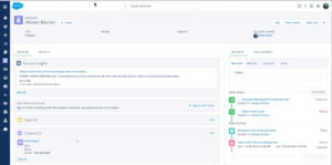 alesforce Lightning Experience Accounts Page Layout
