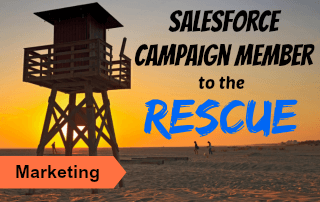 Salesforce Campaign Member small