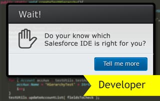 blog_key_whichIDE320px