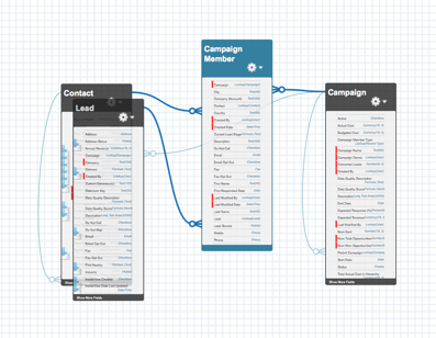 Campaign Member Junction Object