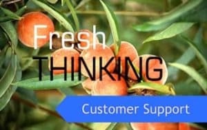 fresh_thinking_small