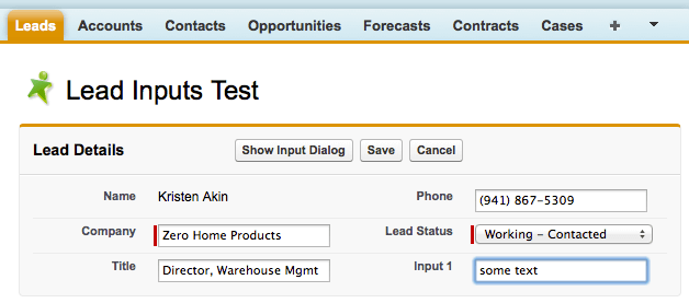 Visualforce Page Data Entry