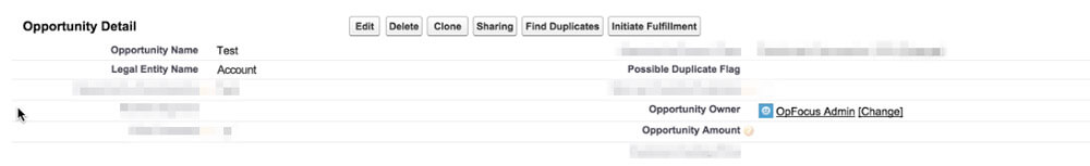 Salesforce Opportunity Edit Page - Currency Example