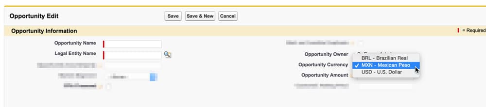 Salesforce Opportunity Detail - Currency Example