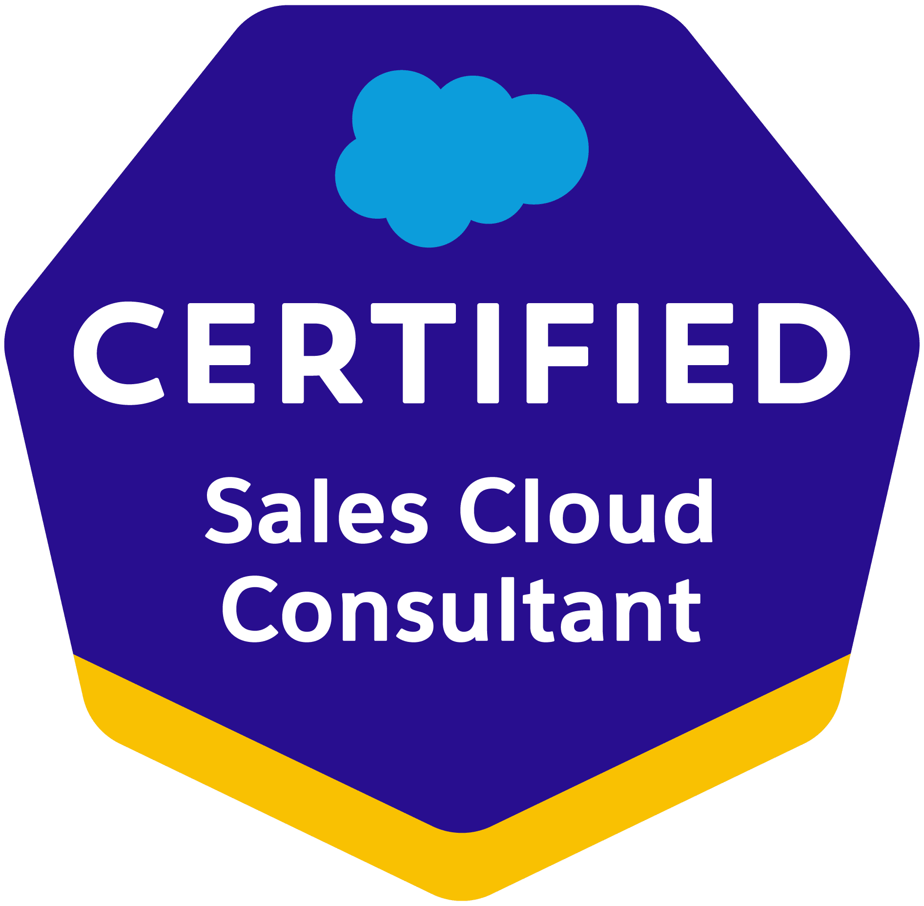 Sales Cloud Consultant