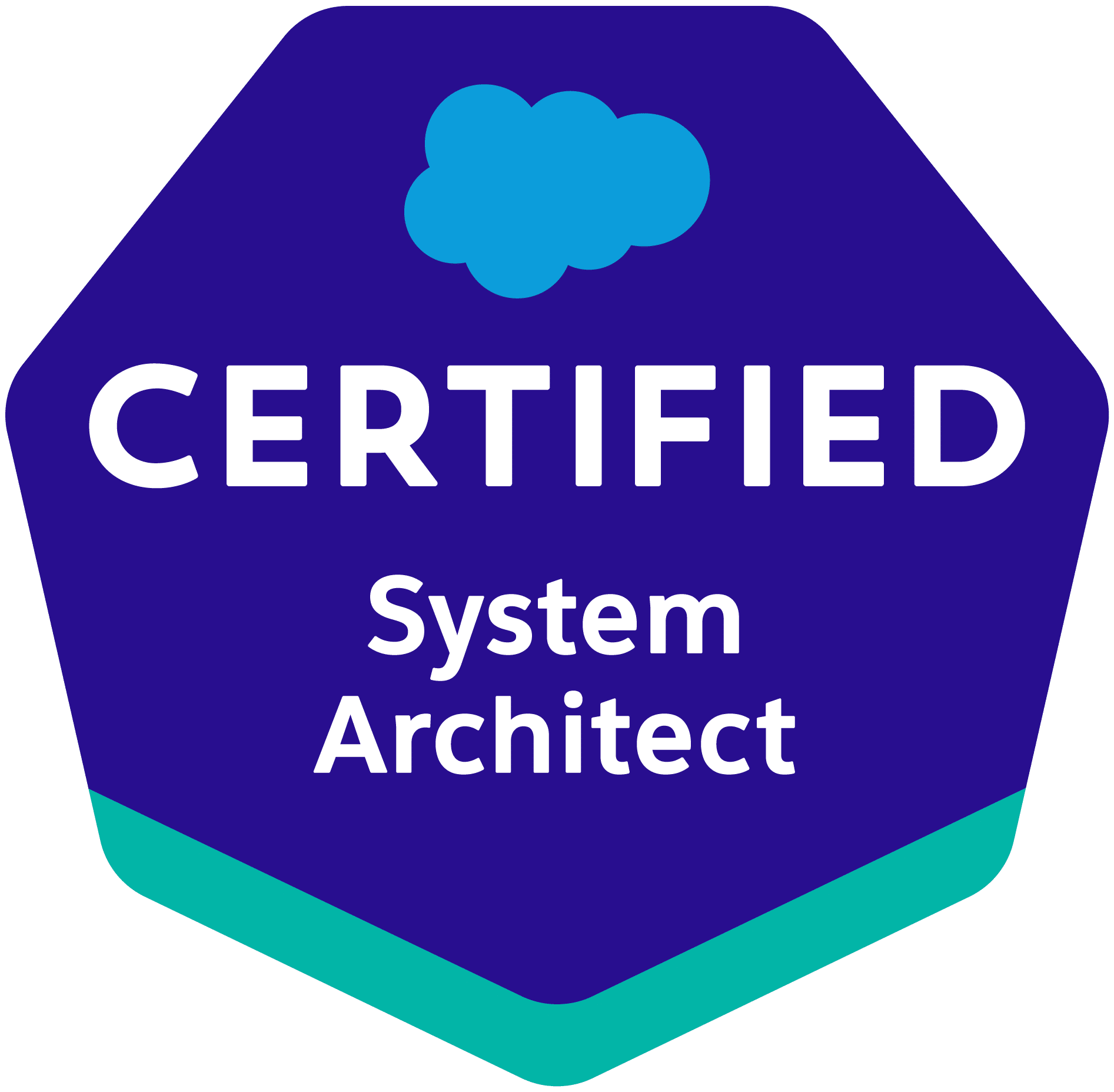 System Architect